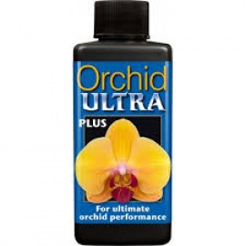 orchid ultra growth tech